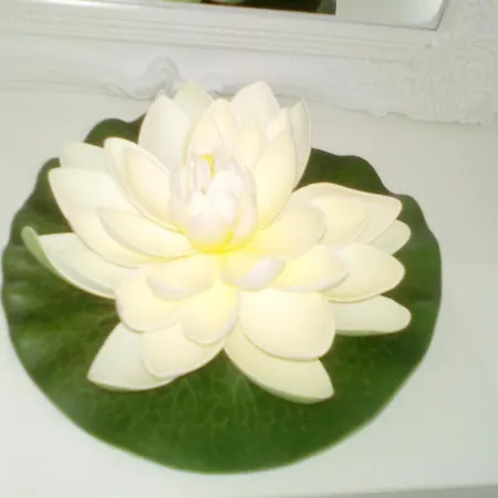Guest house Seasons *